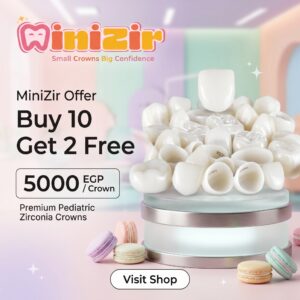 MiniZir Buy 10 Get 2 Free Offer